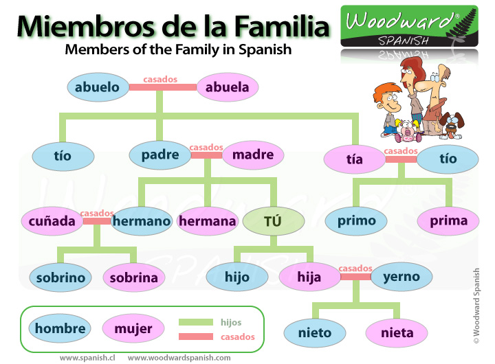 Family Members In Spanish La Familia Woodward Spanish